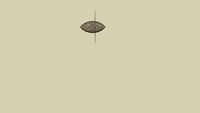 bullet thought a circle