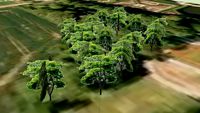 Egeskov Park 4