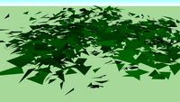 Creeping Juniper