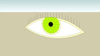 eye