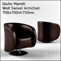Giulio_Marelli_Well