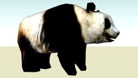 Giant Panda (adult male) Photo Textured