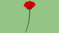 Red Rose