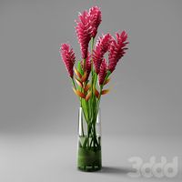 Red Ginger in Vase