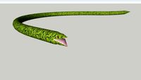 Snake