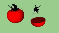 Tomate