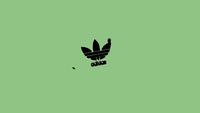 adidas original