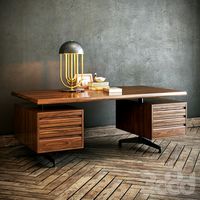 Osvaldo Borsani work desk+delightfull turner lamp
