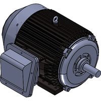 Explosion Proof Motors