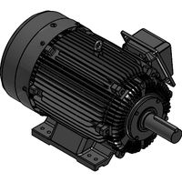 Oil Well Pump Motors