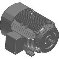 Hyundai Crown Triton Severe Duty Motors