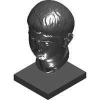 1-msr-agrippa-postumus-5.prj