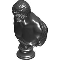 13-msr-unknown-bust-3-10.prj