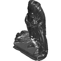 29-msr-esculape-5-repaired.prj