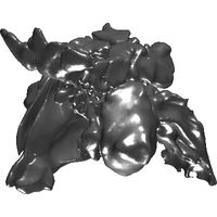 3dpx-00230520upper20respiratory20cast203dfile20nevit20dilmen.prj