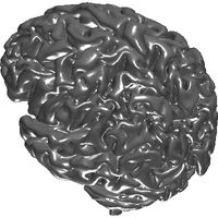 3dpx-00238620atrophic20brain20nevit20dilmen.prj