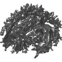 3dpx-00314520fractional20anisotrpy20tractography20white20matter20nevitdilmen.prj