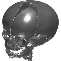 3dpx-00316920baby20cranium20nevitdilmen.prj
