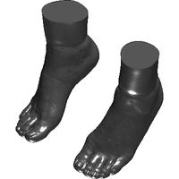 3dpx-00867920foot20skin20nevit20dilmen.prj