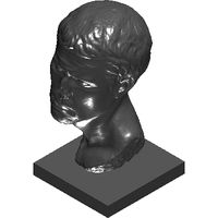 41-msr-unknown-bust-6-5.prj