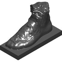 65-msr-sandaled-foot-5.prj