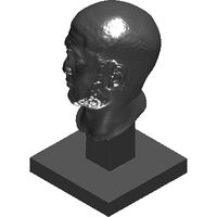 67-msr-portrait-of-a-man-2.prj