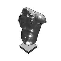 msr-adolescent-torso-repaired-repaired.prj