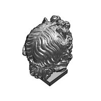 msr-ariane-head-repaired.prj