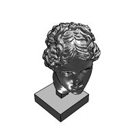 msr-masculine-head-repaired.prj