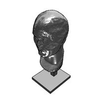 msr-unknown-bust-7-5.prj