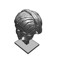 msr-valeria-maximilia-5.prj