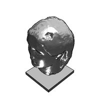 msr-woman-head-3-5.prj