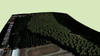 Растительность Ставрополь Лес