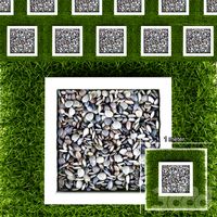 GRASS AND PEBBLES