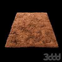 Carpet