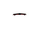 GOSHAWK fighter