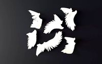 Wings | 3D