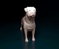 Rottweiler | 3D