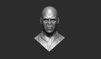 Lord Voldemort bust | 3D
