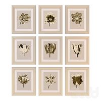 Charlotte Morgan Watercolour Tulips Sepia Nine Piece
