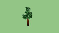 ginkgo biloba