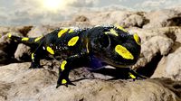 Salamander 3D model