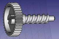 Gear worm gear