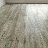 Floorboard Laminate Floor 147