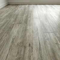Floorboard Laminate Floor 141