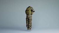 Army military Officer