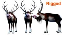 cartoon snow deer Low-poly 3D model rigged