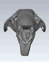 MakeIT  Rat Skull 3D Model