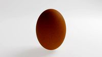 Chicken Egg