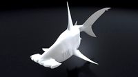 Great Hammerhead 3D Printable Model | 3D